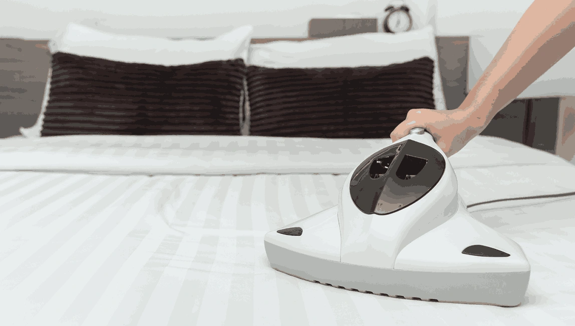 Professional Mattress Cleaning Garden City